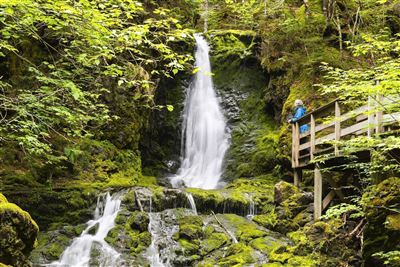 Wasserfälle im Bay-of-Fundy-Nationalpark